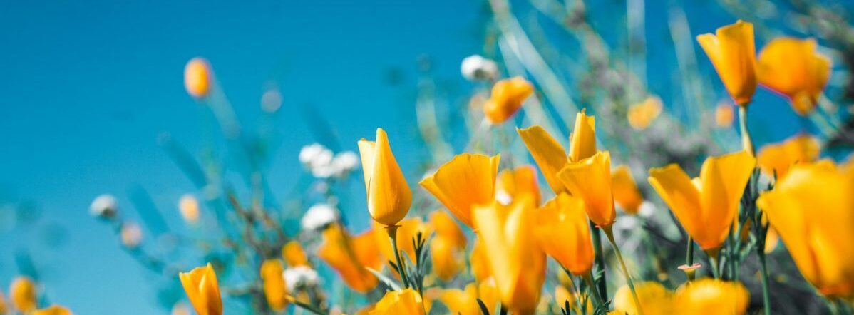 真好孕荷爾蒙檢查套組男性備孕